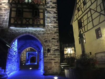 Apartment Wohnung in Riquewihr bei Weinbergen - Environment photo 28