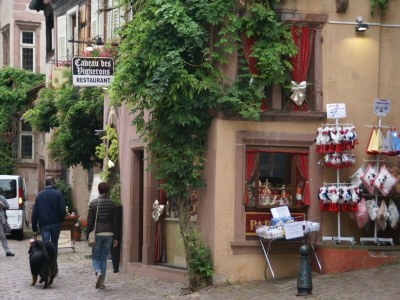 Apartment Wohnung in Riquewihr bei Weinbergen - Environment photo 32
