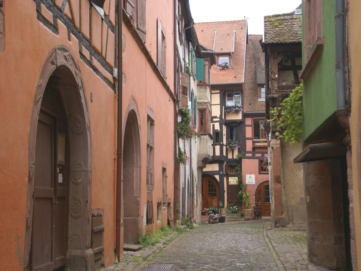 Apartment Wohnung in Riquewihr mit Terrasse - Outdoor photo 3