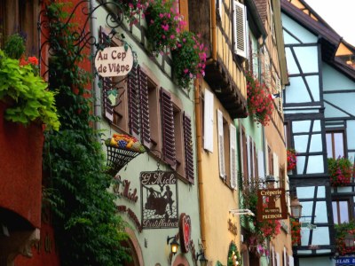 Apartment Wohnung in Riquewihr mit Terrasse - Environment photo 27