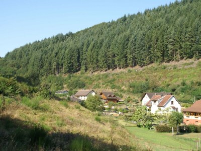 Holiday house Schönes Ferienhaus mit großem Garten - Environment photo 21