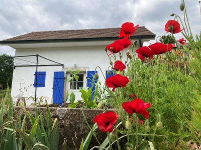 Holiday house Schönes Ferienhaus mit großem Garten - Outdoor photo 38