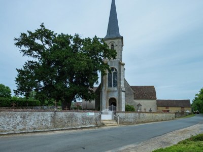 Holiday house Historic Home Saint-Aignan by Lake - Environment photo 24