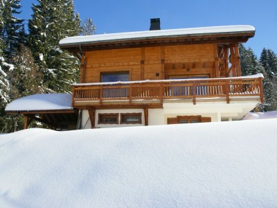 Chalet Chalet in Les Gets with Ski-In/Ski-Out Access - Outdoor photo 18
