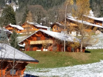Chalet Chalet in Châtel nahe Les Portes du Soleil - Outdoor photo 10