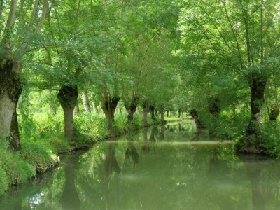 Holiday house Bungalow in Frankreich nahe Schloss & Wanderwege - Environment photo 35