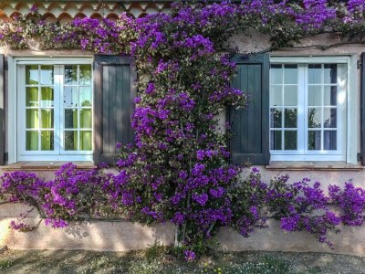 Holiday house Holiday Home in Bormes-les-Mimosas with Pool - Outdoor photo 39