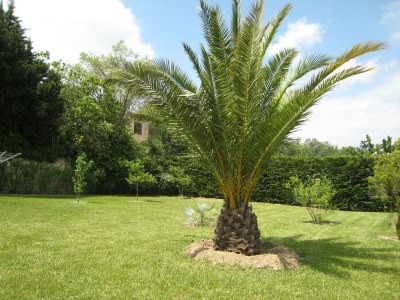 Villa Villa in Provence with Pool and Garden - Outdoor photo 3