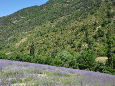 Villa Dorfhaus in Fayence mit Schlossblick - Environment photo 30