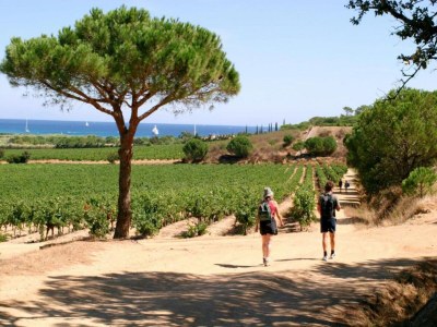Villa Villa in Gassin near Saint Tropez Beaches - Environment photo 33