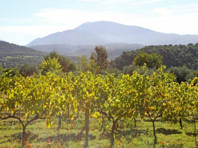 Cottage Holiday Home near Mont Ventoux Pool - Outdoor photo 6