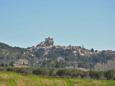 Cottage Holiday Home near Mont Ventoux Pool - Environment photo 31