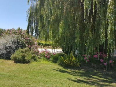 Cottage Holiday Home near Mont Ventoux Pool - Environment photo 33