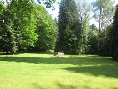 Holiday house Holiday Home in Limousin near Forest - Environment photo 33