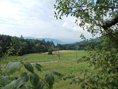 Holiday house Holiday Home Vagney near Ski Gérardmer - Outdoor photo 5