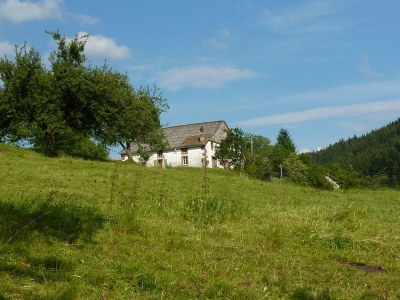 Holiday house Holiday Home Vagney near Ski Gérardmer - Outdoor photo 14