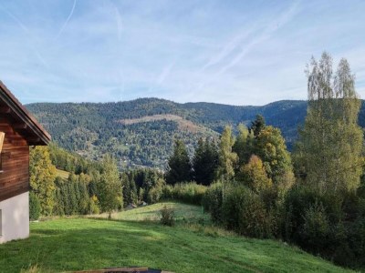 Villa Chalet in La Bresse nahe Skipisten - Environment photo 19