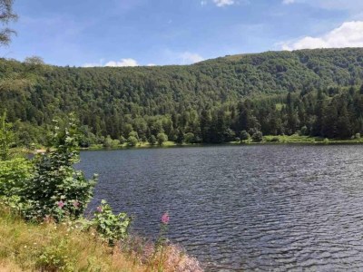 Villa Chalet in La Bresse nahe Skipisten - Environment photo 44