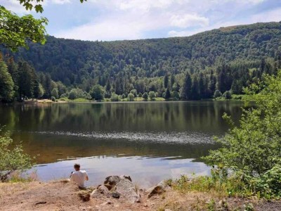 Villa Chalet in La Bresse nahe Skipisten - Environment photo 49