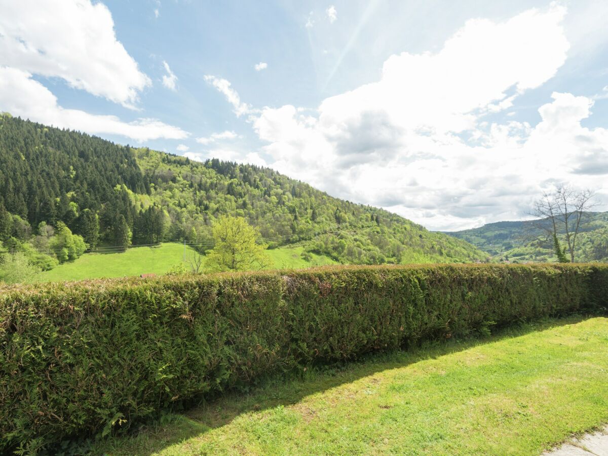 Chalet Chalet in La Bresse nahe Wald & See - Outdoor photo 3