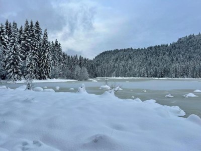 Chalet Chalet in Lotharingen near Forest & Ski Lift - Environment photo 24