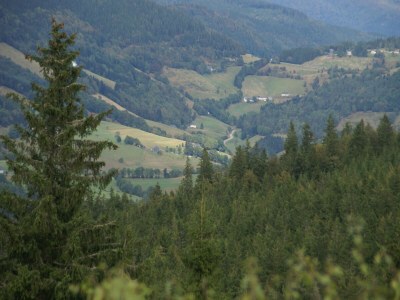 Chalet Chalet in Lotharingen near Forest & Ski Lift - Environment photo 26
