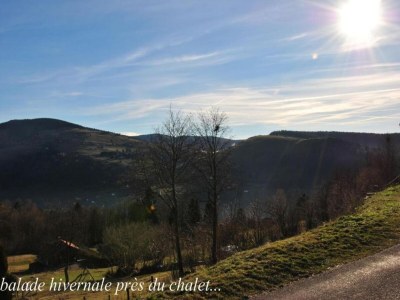 Chalet Chalet in Lotharingen near Forest & Ski Lift - Environment photo 31