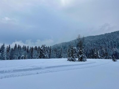 Chalet Chalet in Lotharingen near Forest & Ski Lift - Environment photo 33