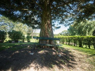 Apartment Wohnung in Darney mit Wiesenblick - Outdoor photo 5