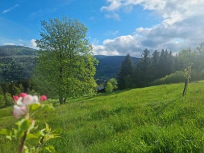Apartment Wohnung in Darney mit Wiesenblick - Environment photo 22