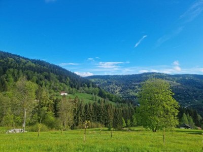 Apartment Wohnung in Darney mit Wiesenblick - Environment photo 37