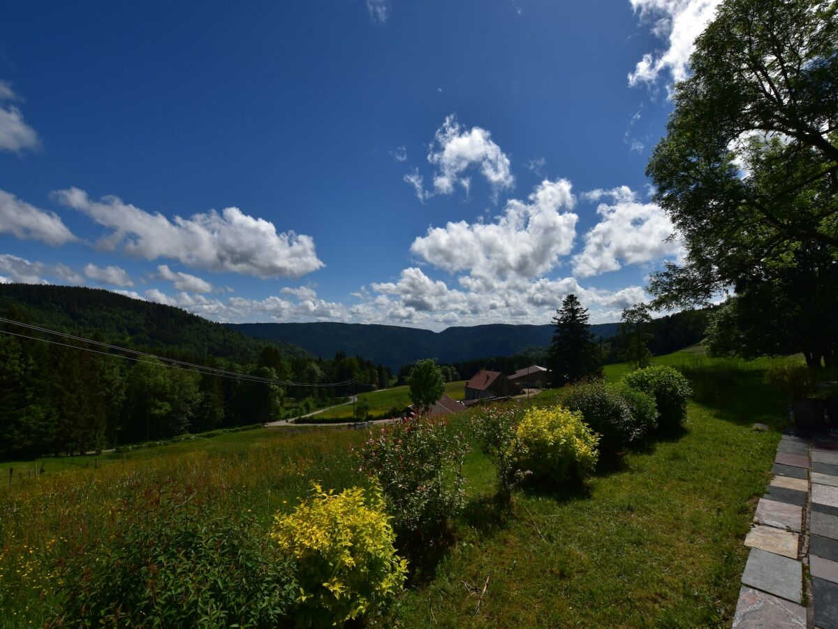 Chalet Chalet in Saulxures nahe Skigebieten - Outdoor photo 5