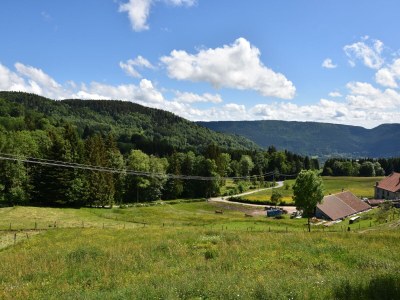 Chalet Chalet in Saulxures nahe Skigebieten - Outdoor photo 7