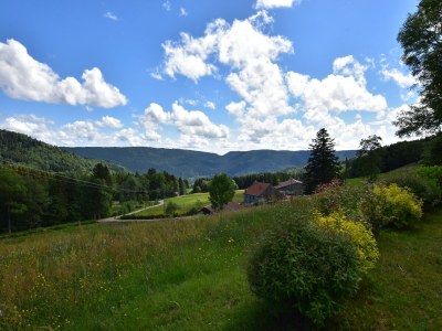Chalet Chalet in Saulxures nahe Skigebieten - Outdoor photo 8