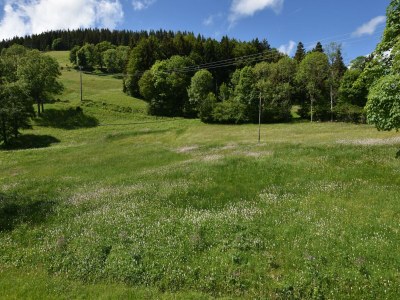 Chalet Chalet in Saulxures nahe Skigebieten - Outdoor photo 15