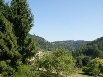 Chalet Chalet in Ventron near Ski Lift - Environment photo 27