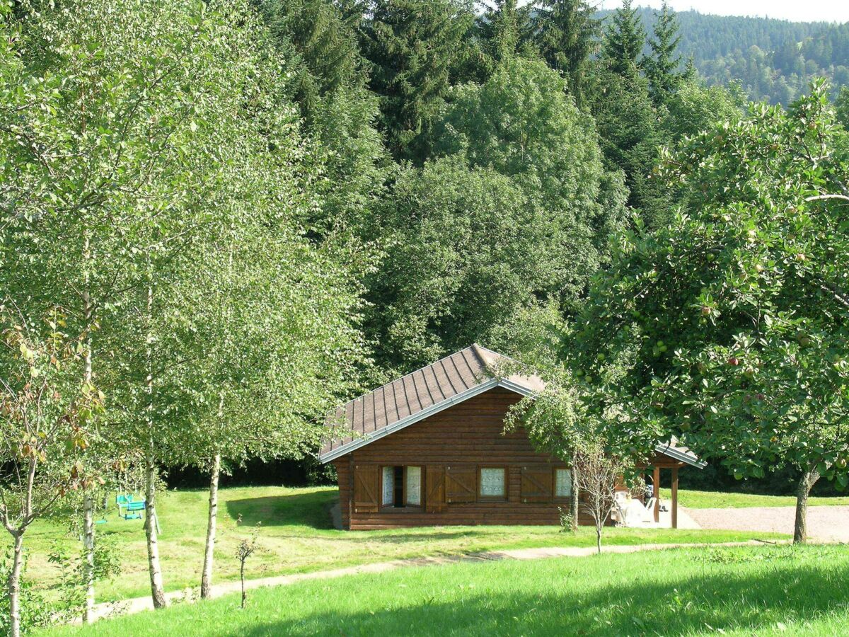 Chalet Ventron Chalet with Hill Views - Outdoor photo 4