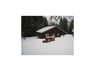 Chalet Ventron Chalet with Hill Views - Outdoor photo 6