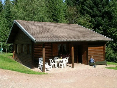 Chalet Ventron Chalet with Hill Views - Outdoor photo 8