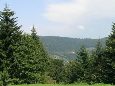 Chalet Ventron Chalet with Hill Views - Outdoor photo 9