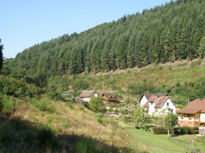 Chalet Ventron Chalet with Hill Views - Environment photo 31