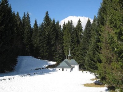 Chalet Chalet in Ventron nahe La Bresse Skigebiet - Environment photo 33