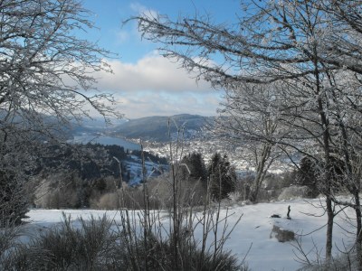 Chalet Chalet in Gerardmer near Ski Slopes - Environment photo 27