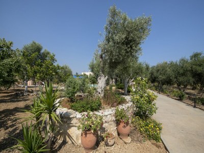 Holiday house Villa auf Kreta nahe Strand und Olivenhainen - Features photo 22