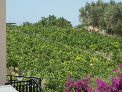 Villa Villa in Loutra with Sea View and Pool - Environment photo 32