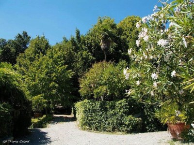 Farmhouse Italienischer Aufenthalt: Bacchereto Weinland - Outdoor photo 9