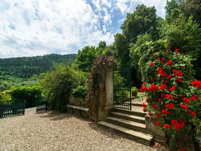 Farmhouse Italienischer Aufenthalt: Bacchereto Weinland - Outdoor photo 11