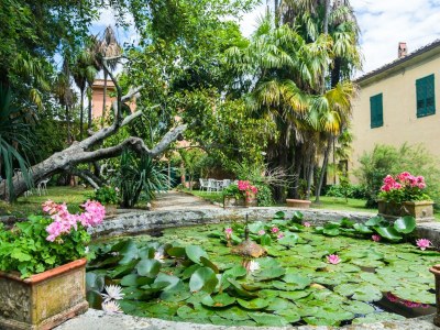 Farmhouse Italienischer Aufenthalt: Bacchereto Weinland - Outdoor photo 17