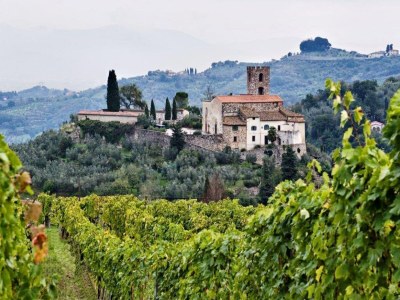 Farmhouse Italienischer Aufenthalt: Bacchereto Weinland - Environment photo 32
