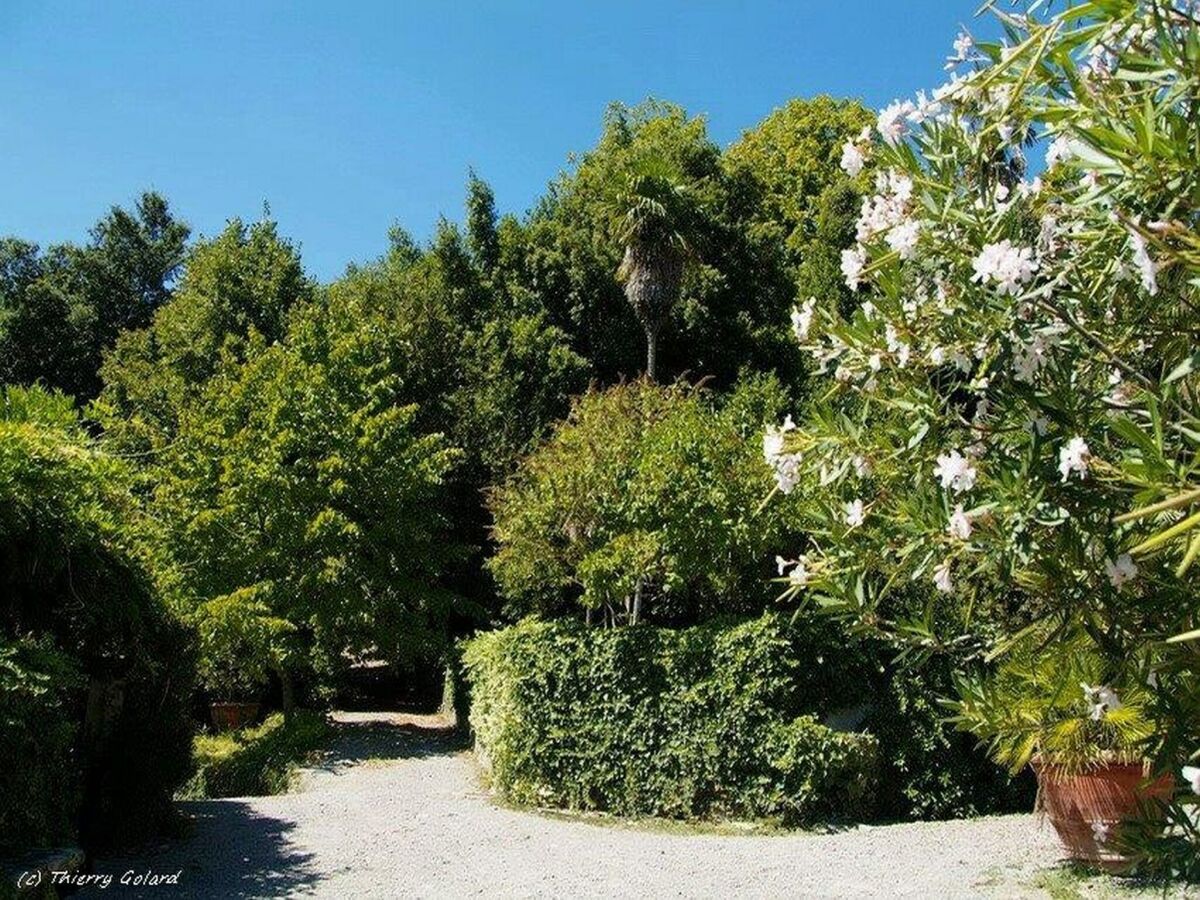 Farmhouse Farmhouse in Tuscany near Renaissance Villa - Outdoor photo 5